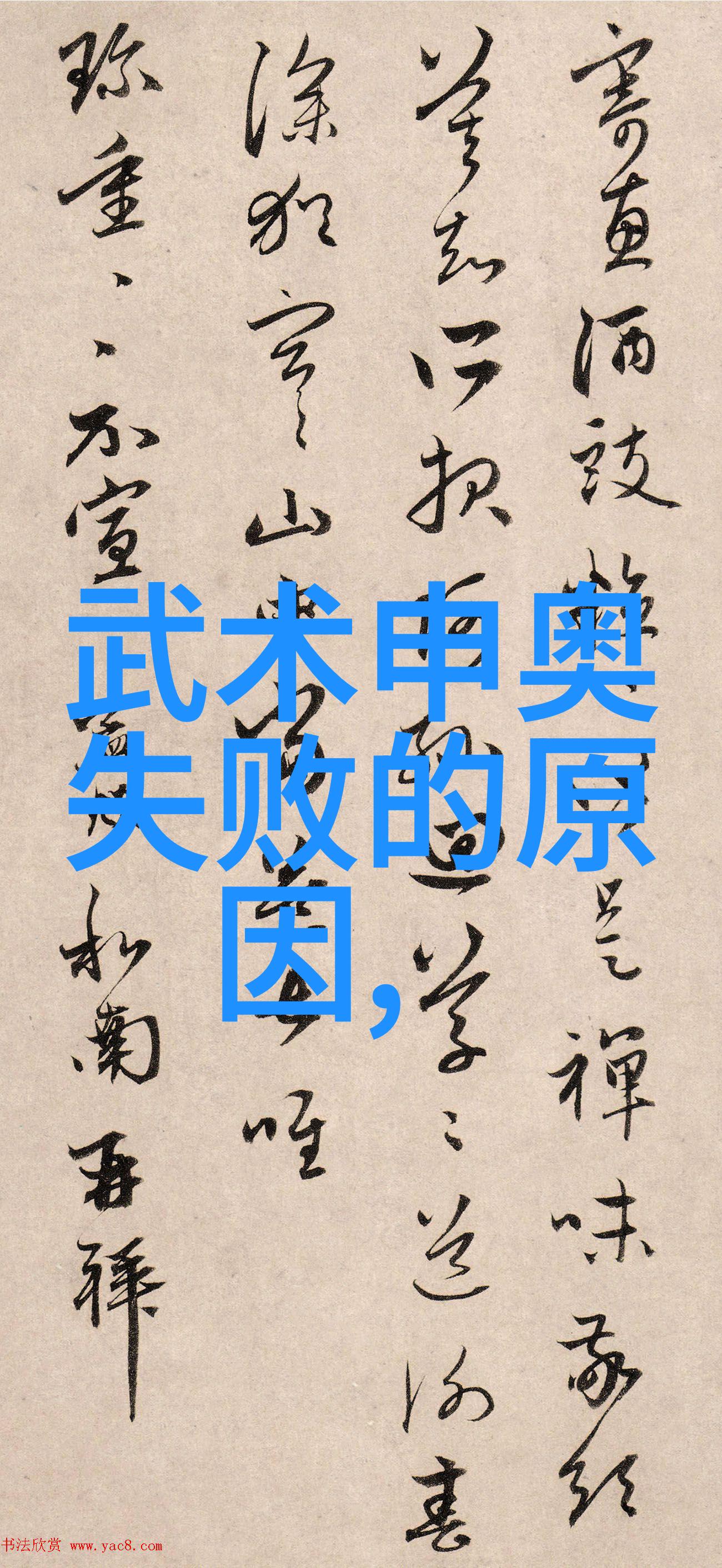 中国武功的内涵与实践从历史传承到现代修炼
