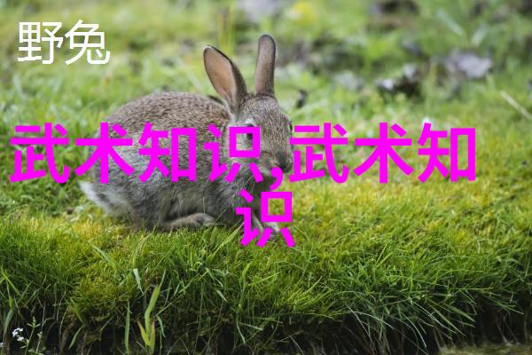 武功秘籍网解读古代武学典籍数字化传承与研究的新视角