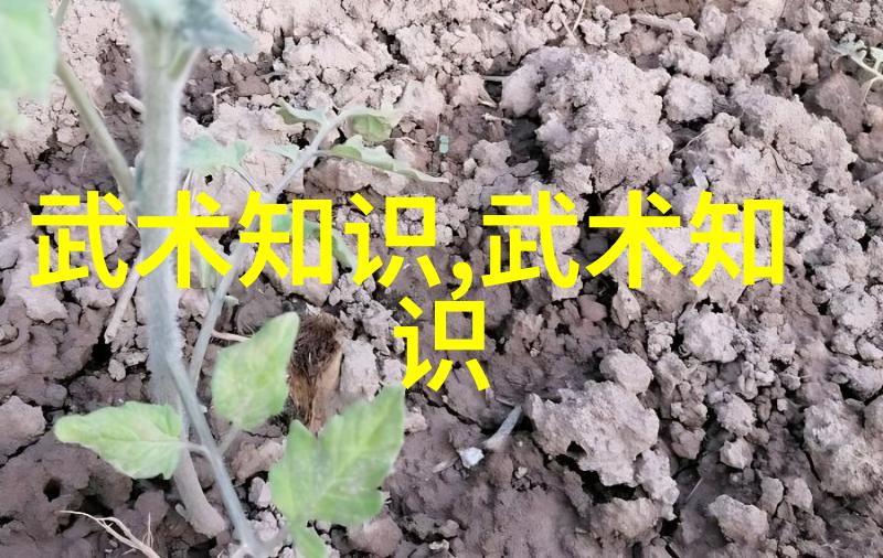 两者训练方法又是如何不同的