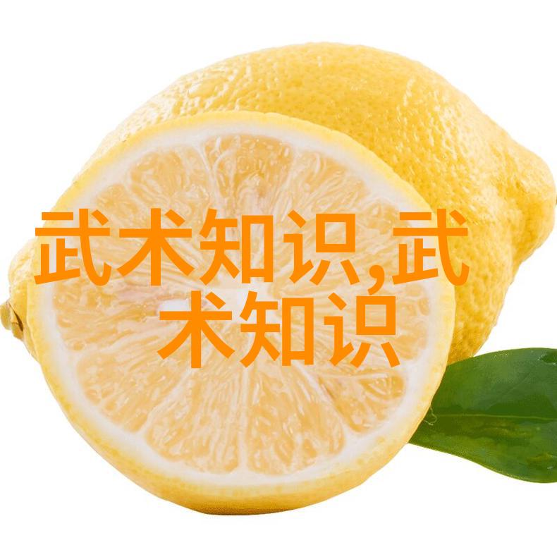 太极24式正面背面-探秘武学古籍揭秘太极24式的正与反两面之谜