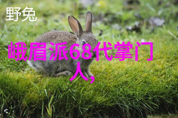 武林中最壮观的门派乾坤门