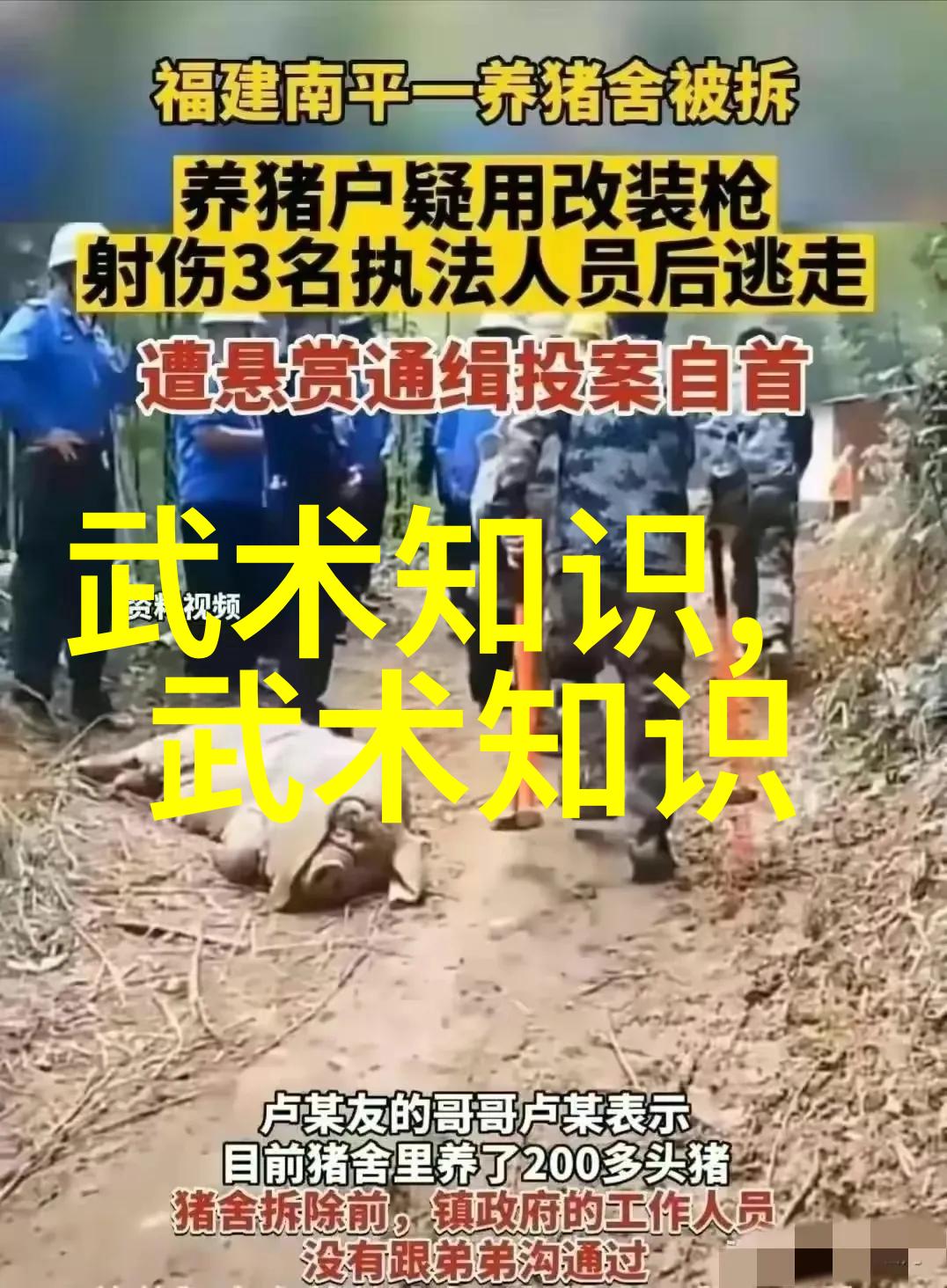 太极拳24式图解揭秘古老武术中的神秘之谜