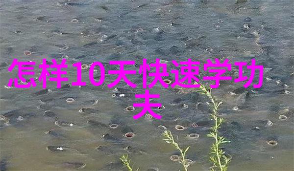 Chinese Top Ten True Martial Arts背后的历史和文化意义