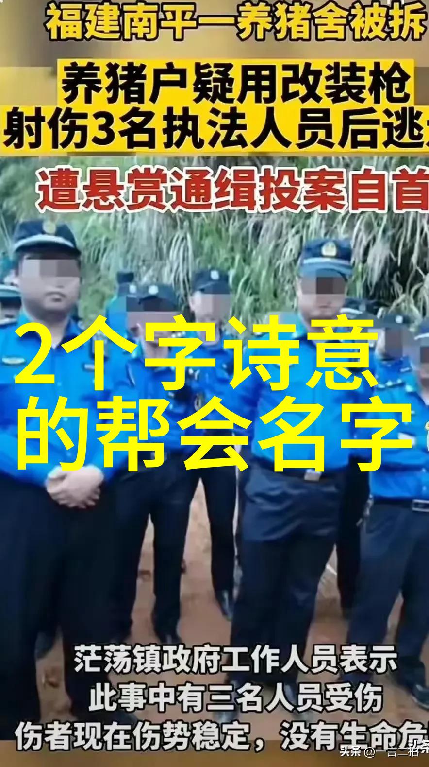 天穹之巅独尊武道揭秘世界上最强武功的秘密