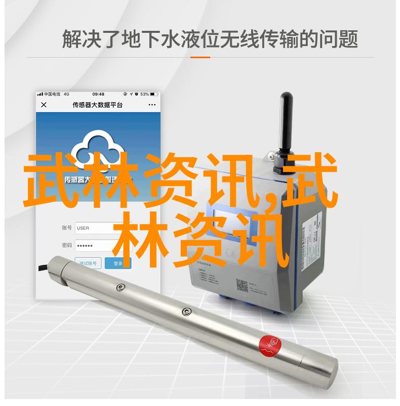 武当派的传统与现代融合