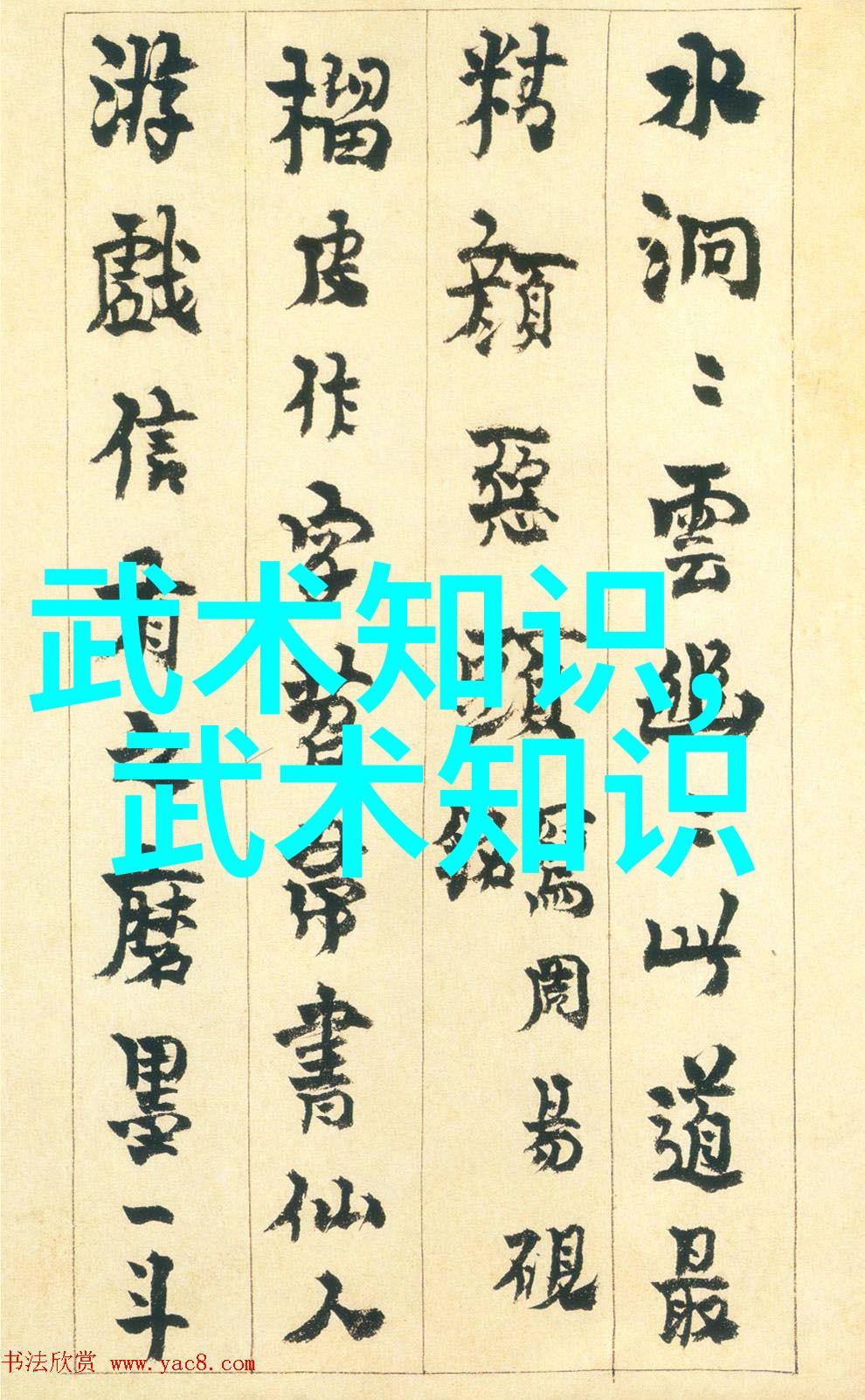 武林风云揭秘中国功夫门派实战力排名