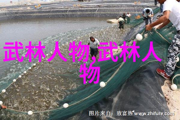 中国传统文化-揭秘中国十大最强武术的源流与魅力