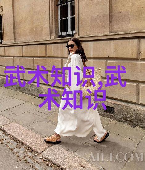 剑谱拳谱法器图录揭开各种古代武器和工具使用方法