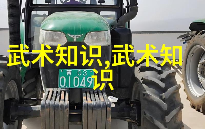中国功夫门派实战排名 剑派拳派与腿派谁的招式最为厉害