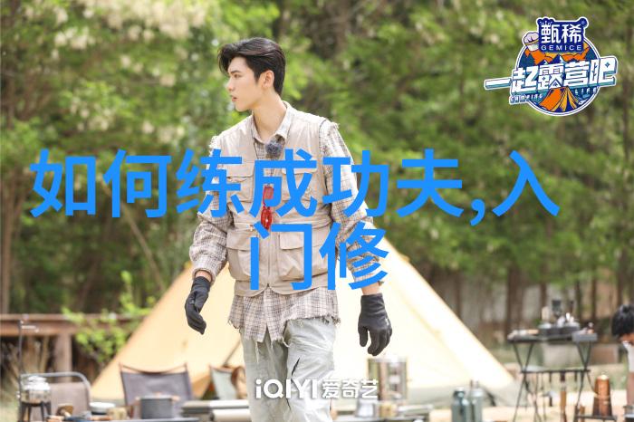 武林秘籍大全解锁中华武术的奥秘与力量
