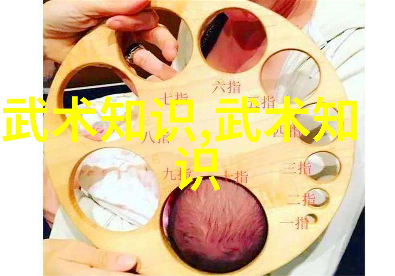 咏春拳法在社会的太极武功与科学融合