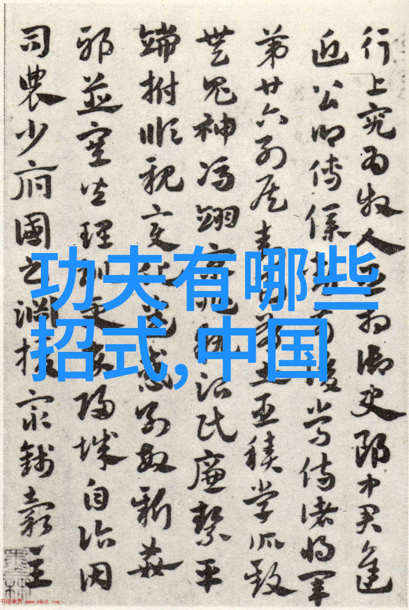 逆袭之术神秘武学通解