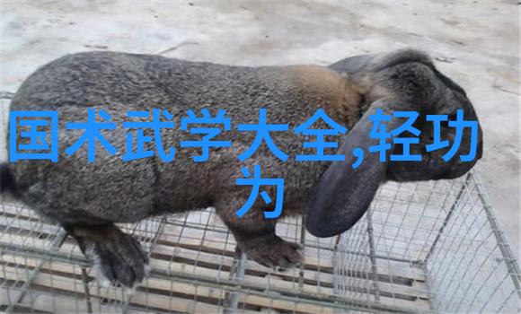 传说中的4个字古风诗意帮派真相大白