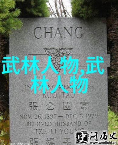 仙盟古风自然之炮拳