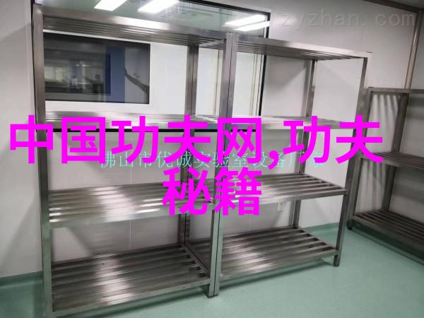 数据驱动少林武功秘籍大全之内养外揭秘