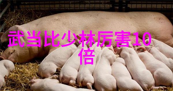 师父不可以总结