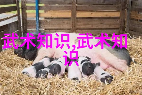 快速反应训练提升你的应变能力