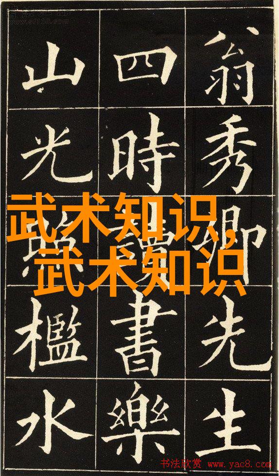 中国武术之冠十大拳术的辉煌篇章
