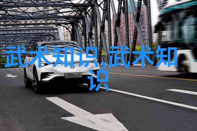 男人眼中的女人武功好-柔情似水英姿飒爽男人眼中的女侠风采