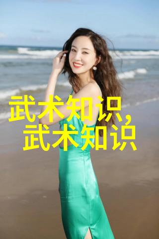 中国武术实战之魂与艺术之魅