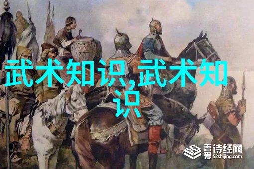 南拳华拳哪个厉害揭秘这场掌心交锋的笑话大赛