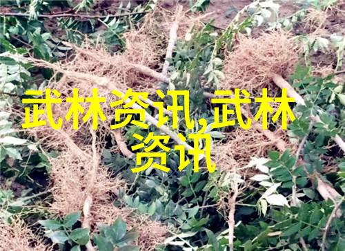 气韵图谱揭秘太极内功之道