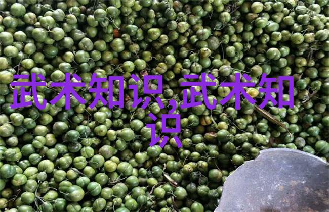 哪种神功更为绝世金庸笔下巅峰武学之争