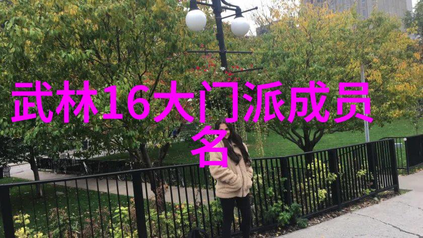徐晓林解析太极拳内劲形成与推手应用轻功飞升秘诀体验