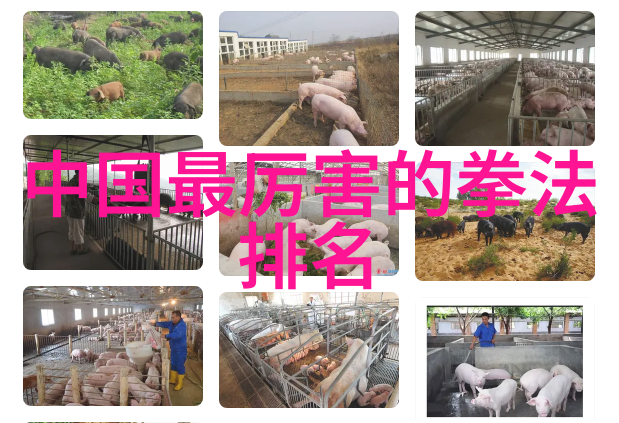 武功秘籍悟道篇