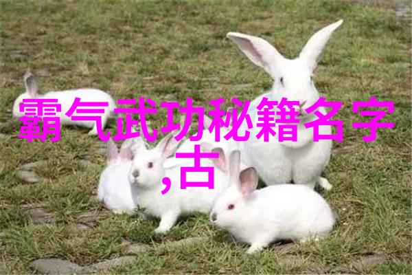 末日快乐生存与希望在世界末日后的重建与团结