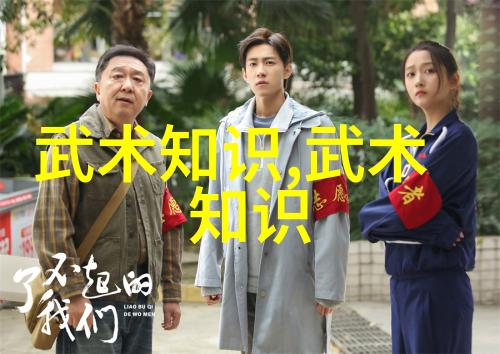 潘鸿勇的太极拳架秘笈古风剑法之韵