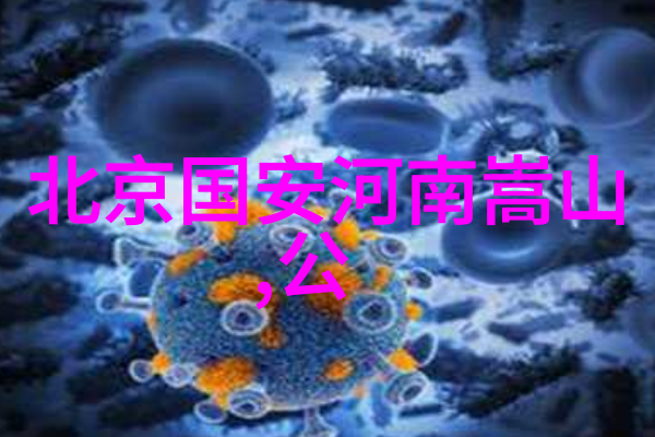 禁用武术的网站我是怎么发现那个神秘网站的