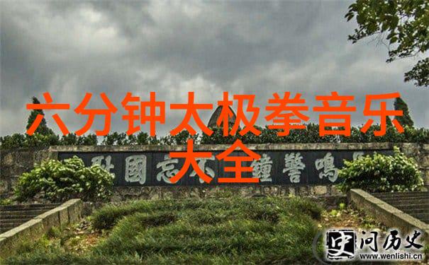 太极拳24式自学图解气血流转如同气与屁共舞精妙无端