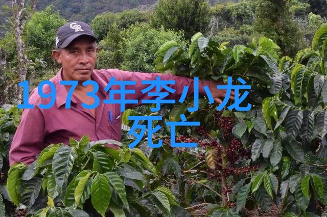 武侠世界-揭秘现存的门派江湖中隐藏的秘密与传统