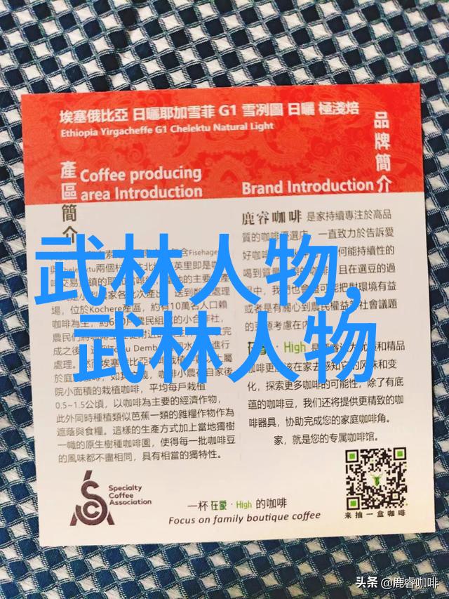 武林之危影踪中的剑舞者