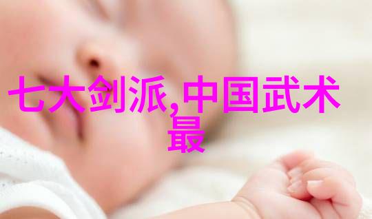 神秘武林联盟陈式太极拳揭秘古老门派的无形力量