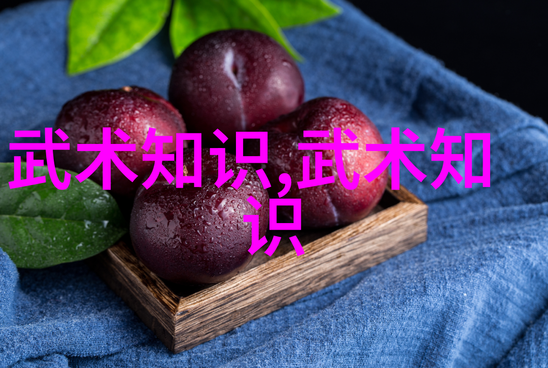 安徽武林门派探秘傅式形意内家拳传人故事