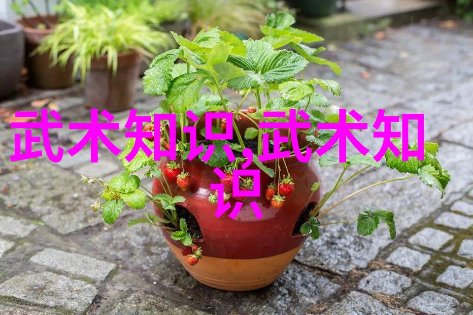 杨澄甫传承古老太极拳秘籍-武林招式大全解析在自然之中探寻阴阳之谜