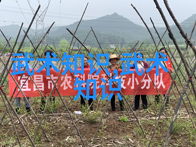 精进内力体现技击揭秘武术中的十二要素