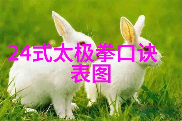 顶级宗门秘传杨式太极拳绝学