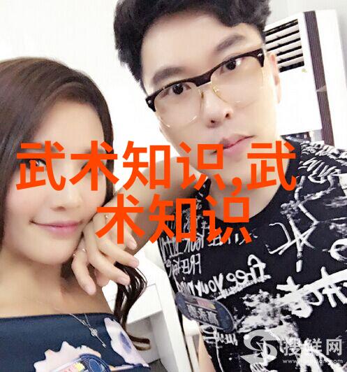 武术探秘揭秘四十式太极拳口令与视频的艺术魅力