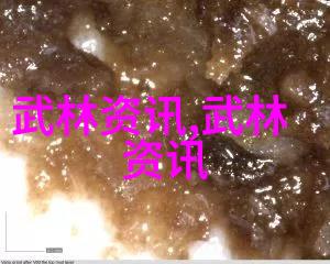 揭秘中国武术的拳法之美探索数百种独特技艺