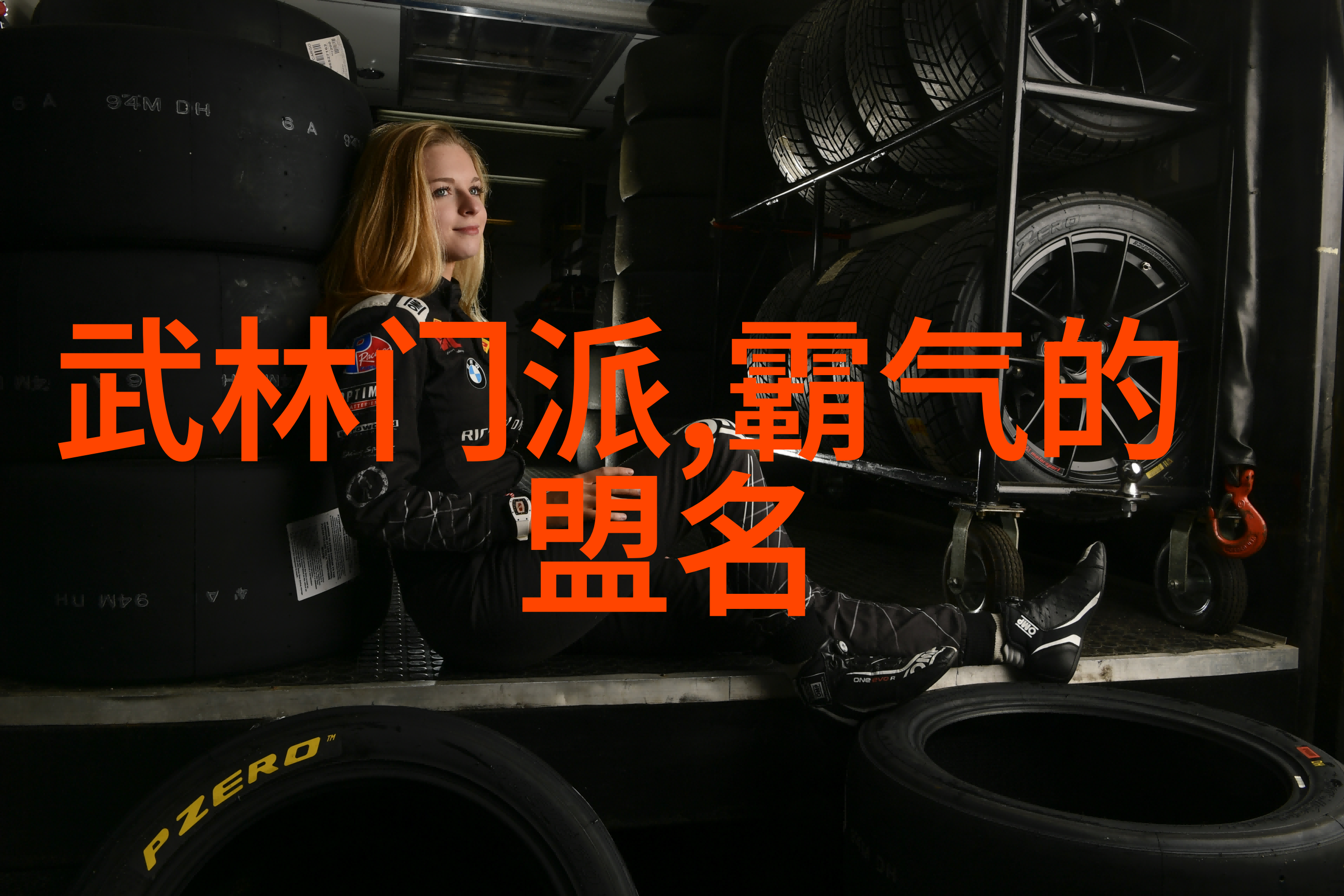 拳脚掌法架式解析中国各大流派武器使用技巧