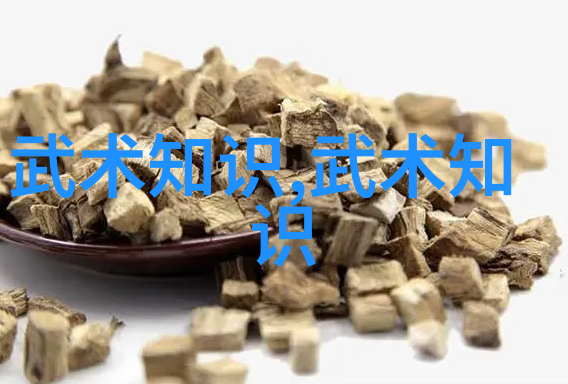 中国武学巅峰之选揭秘当代最强门派