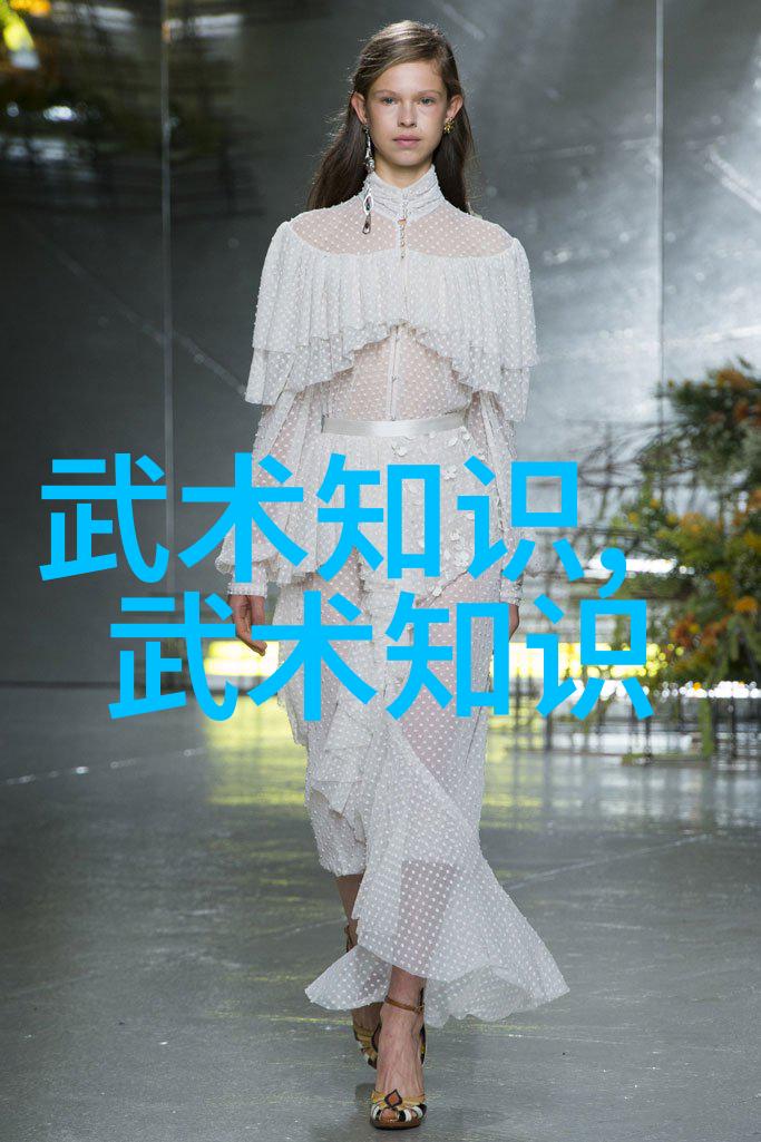 如何通过太极拳24式图解提升自己的身体协调性和灵活性