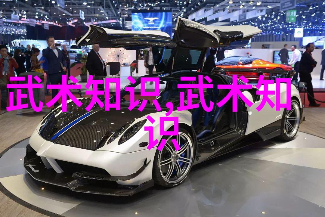 橄榄球宝贝助力中国橄榄球协会揭晓赛事服务商认证新规