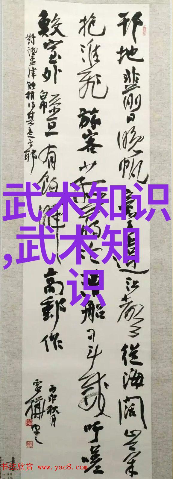 邱慧芳24式太极拳全套教学掌握传统功法健康生活