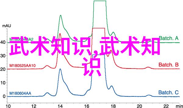 现存门派中的内家拳犹如江湖中最隐秘的花园藏匿于大名府之中