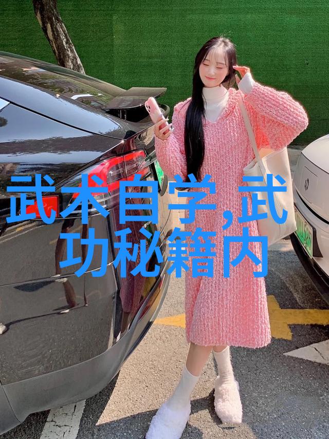 动手操作与心得分享亲身体验31种基本招数后的一步深入研究第33招的含义与运用