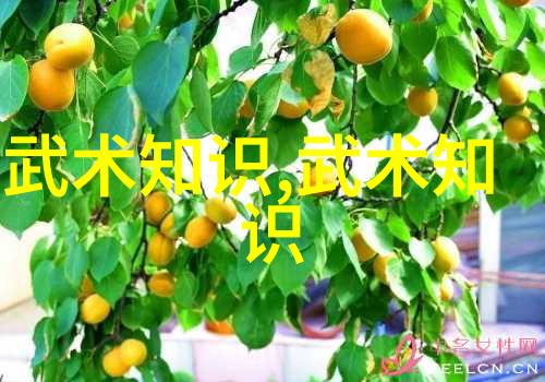铁拳铸就砖石之旅的坚韧历练